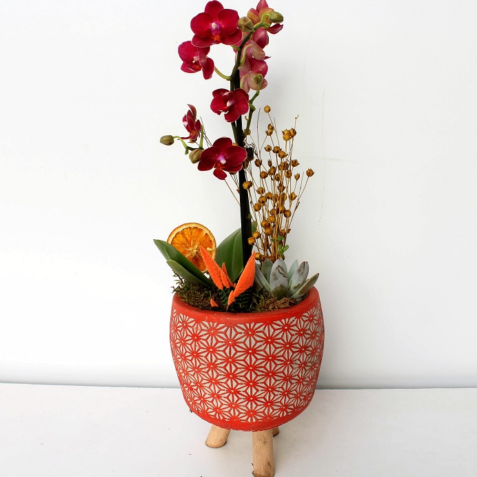 Valla Dekoratif Desenli Vazoda Mor Orkide ve Kaktüs