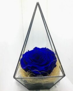 Piramit içinde mavi Solmayan Gül
