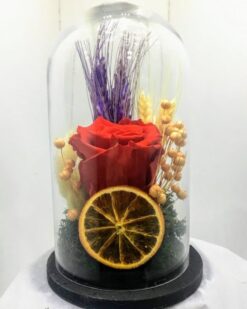 Solmayan Gül ve Bitmeyen Aşk