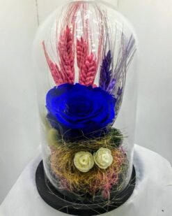 Cam Fanusta Solmayan Mavi Gül