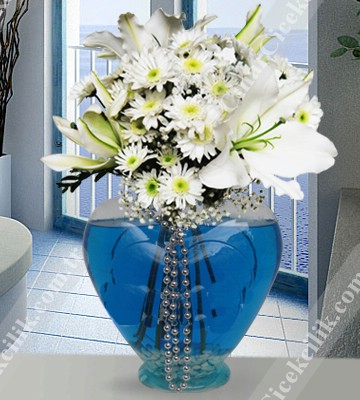 Kocaman Gülümseme C-KLP116