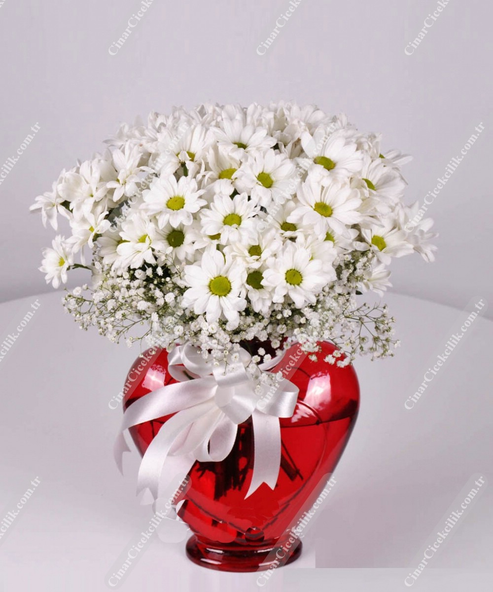 Aynı Gün Hızlı Teslimat'' Sevgi Sihri Kalp Vazoda Papatya