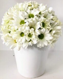 Kraliçem Kir Çiçekleri C-AR146