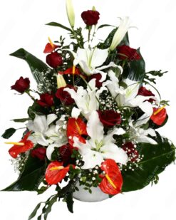 Mutluluğun Tarifi C-AR102