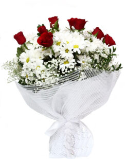 Sevgi Yağmuru Papatya, Kırmızı Gül C-BUK119