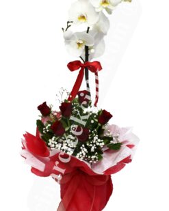 Kırmızı Gül Tekli Orkide  C-OR131