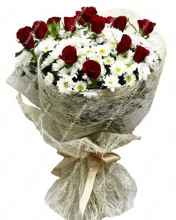 Aşkın Büyüsü Kırmızı Gül, Papatya C-BUK120