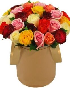 Kutu İçersinde Renkli Gül