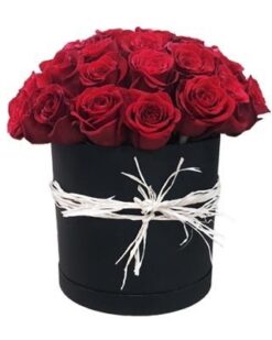 Şık Siyah Kutu İçinde Kırmızı Gül