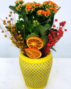 Mariano Desenli Vazoda Turuncu Kalancuha Çiçeği