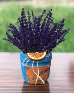 Ölümsüz Aşk Kuru Kokulu Lavanta