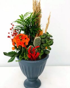 Paisler Dekoratif Vazoda Teraryum