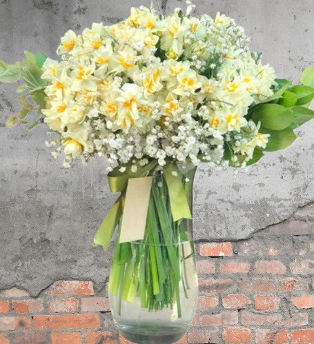 Nergis Çiçeği - Saf ve Zarif Çiçek Hediyesi