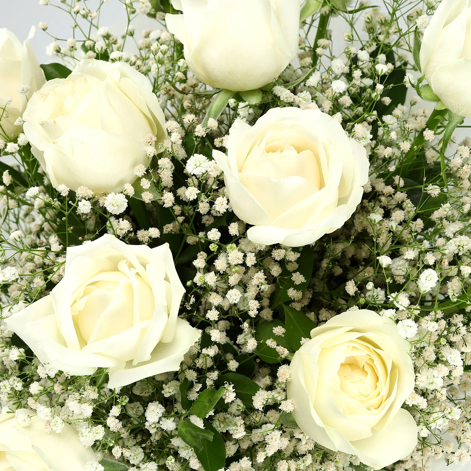 Aşkın Asaleti 15 Beyaz Gül Buketi - Görsel 3