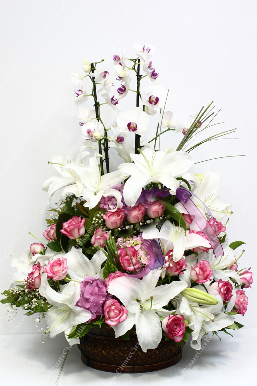 En Değerli Orkide Pembe Gül Lilyum C-AR139