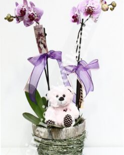 Oyuncaklı Pembe Orkide Aranjmanı C-OR140