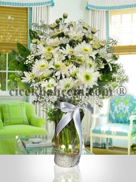 Papatyalar ile Güzel Buket