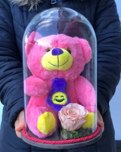 Solmayan Gül - Somon Renkli Gül, Pembe Pelüş Ayı