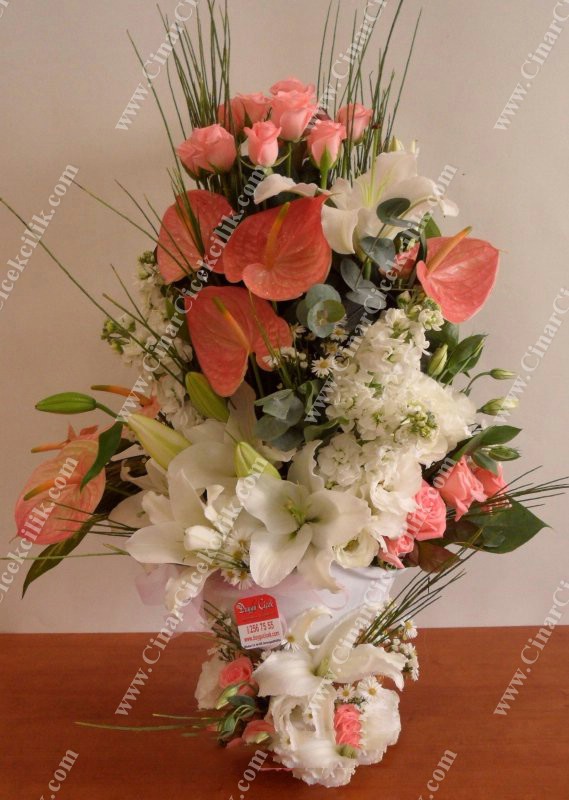 Aşk Peşinde Gül lilyum Antorum C-AR142