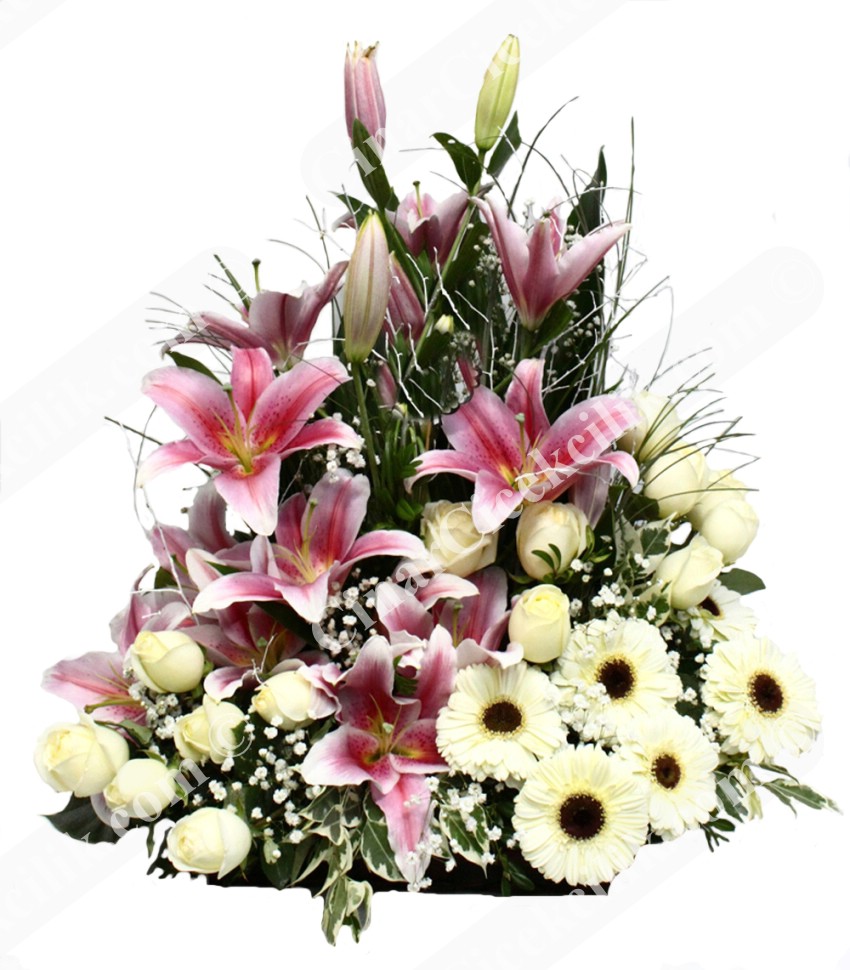 Bahar Esintisi Pembe Lilyum C-AR117