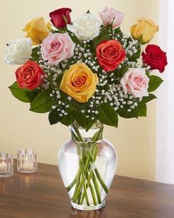 Renkli Rüyam Benim - C-GL102