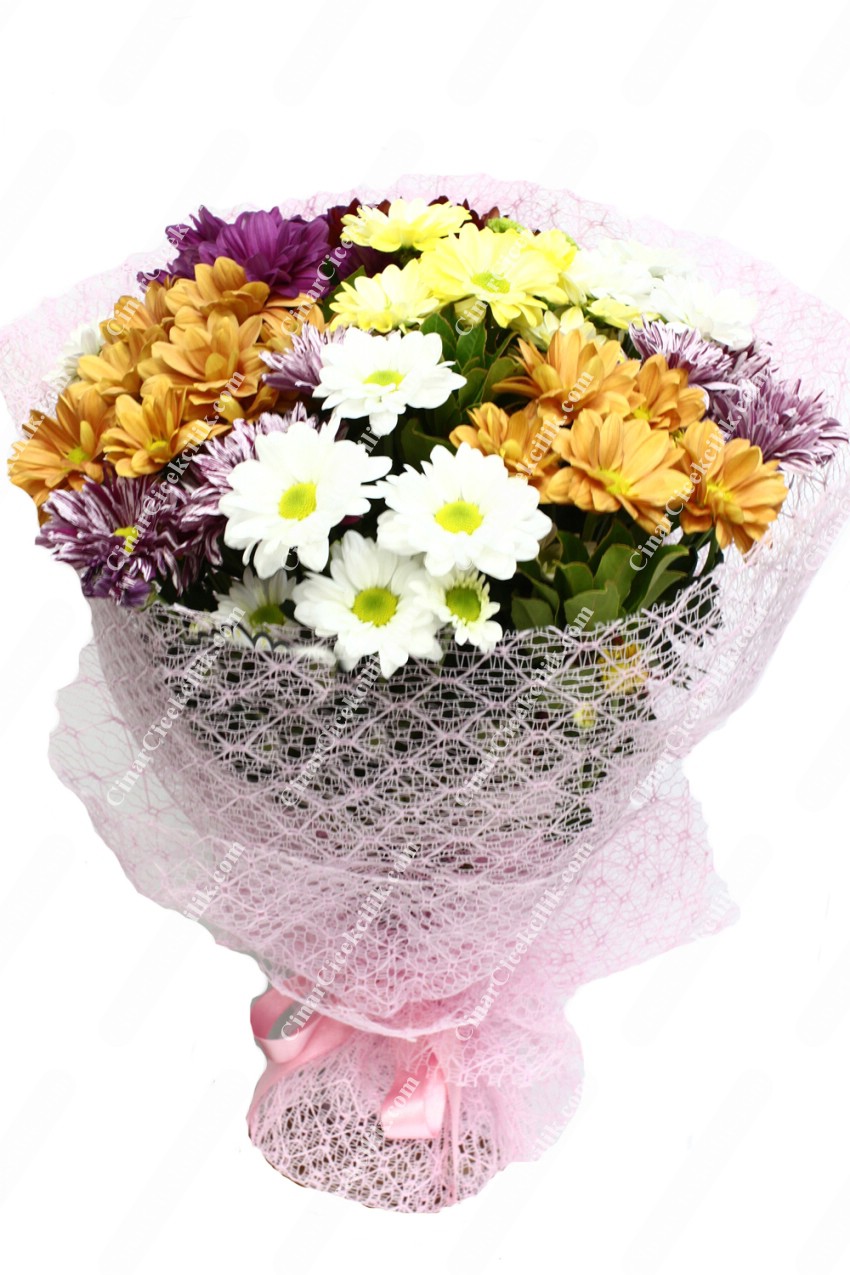 Bahar Sevinci Papatya Kır Çiçeği C-BUK163