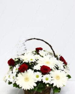 Sevgi Kelebeği Gerbera Gül C-AR134