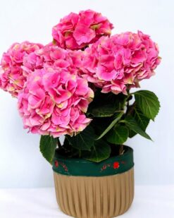 WOODY Dekoratif Vazoda Ortanca Saksı Çiçeği