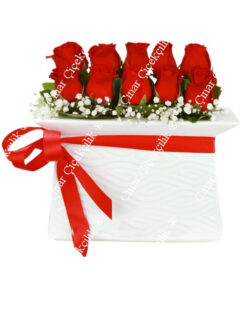 Aşk ve Romantizim Kırmızı Gül C-SER101