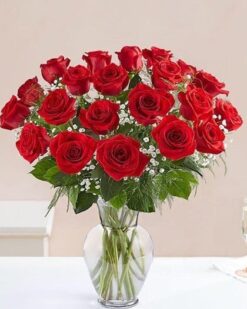 Silindir Cam Vazoda 25 Adet Kırmızı Gül