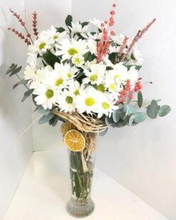 Doğal Güzelliğin Sunumu Krizantem Papatyası