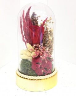 Aşksın Sen Solmayan Gül