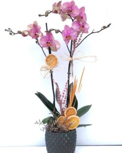 Çift Dal Pembe Sevgilime C-OR155