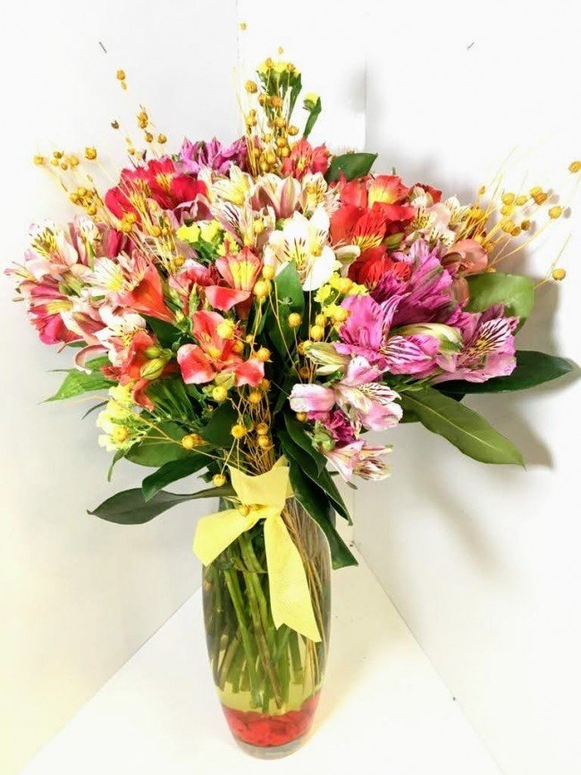 Peru Papatyası - Görsel 3