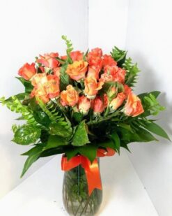 Miyatür Gül (Çardak Gülü)