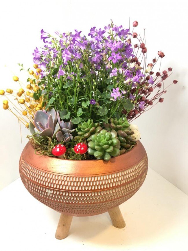 Sukulent Aranjmanı Çınar Çiçekçilik - Görsel 3