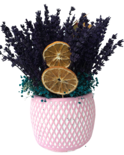 Kokulu Lavanta Çiçeği