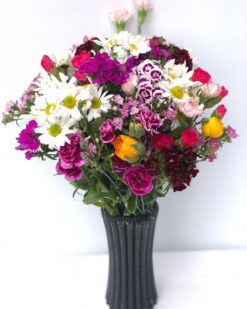 Şakayık ve Mevsim Çiçeklerinin Güzellikleri.