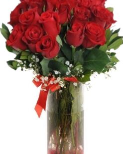 Uzun Saplı 29 Adet Kırmızı Gül