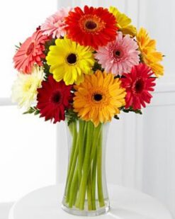 'Aynı Gün Hızlı Teslimat'' RENK ZERAFETİ GERBERA ÇİÇEKLERİ