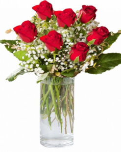 Vazoda 7 Adet Kırmısı Gül