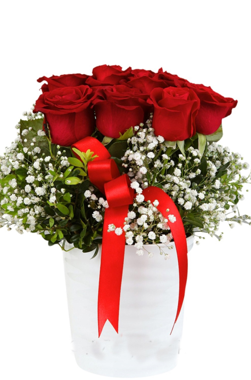 Seramik İçinde 9 Kırmızı Gül C-SER109 - Görsel 2