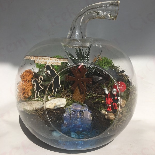 "Seni Çok Seviyorum Anne" Teraryum - Görsel 2