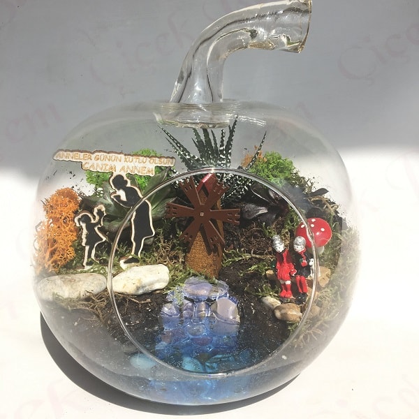 "Seni Çok Seviyorum Anne" Teraryum - Görsel 3