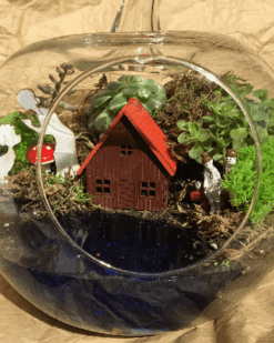 Anne İçin Özel Teraryum