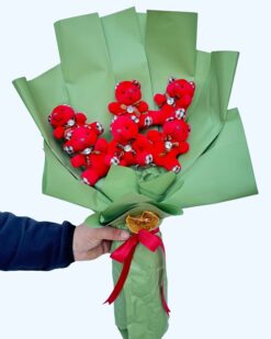 Kırmızı Ayıcık Buketi - 6'lı Set