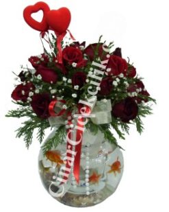 Fanusta Kırmızı Gül Balıklı Çiçek