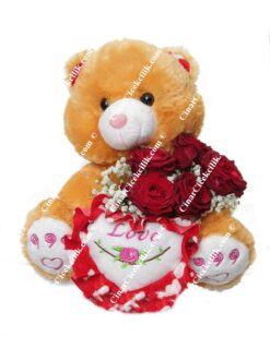 Kalbimin Sahibi C-OY108