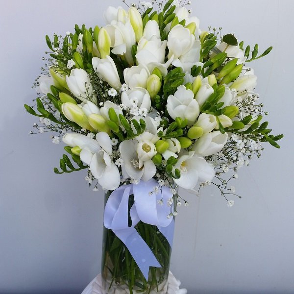 Beyaz Kokulu Firezya - Görsel 6