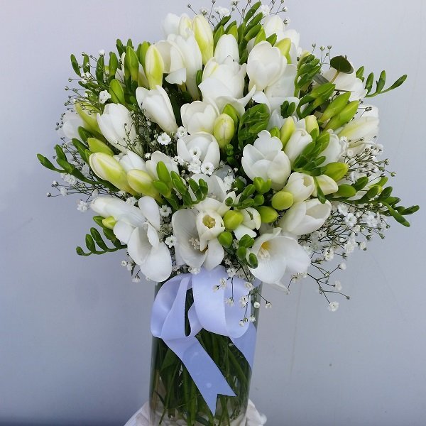 Beyaz Kokulu Firezya - Görsel 4